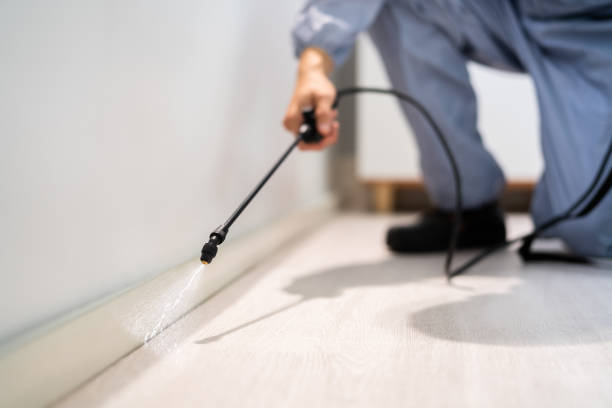 Licensed Termite Control service in Encinal, TX - Show Me Pest Control